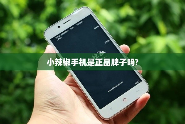 小辣椒手机是正品牌子吗?