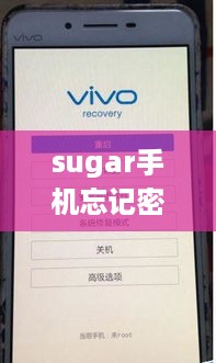 sugar手机忘记密码如何解锁