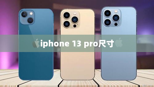iphone 13 pro尺寸