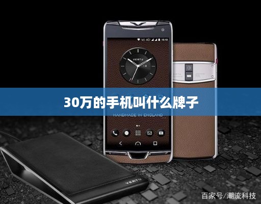 30万的手机叫什么牌子