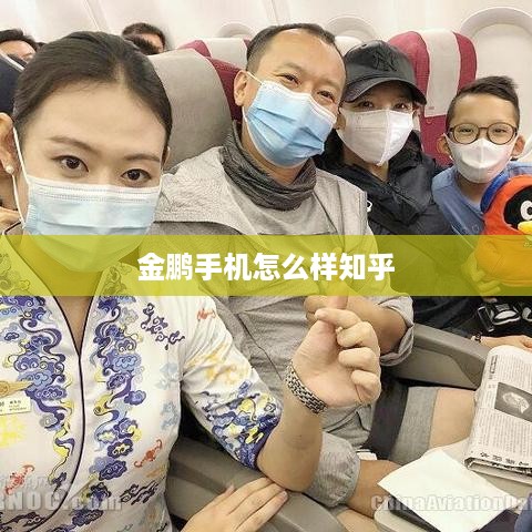 金鹏手机怎么样知乎  第1张