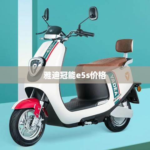 雅迪冠能e5s价格