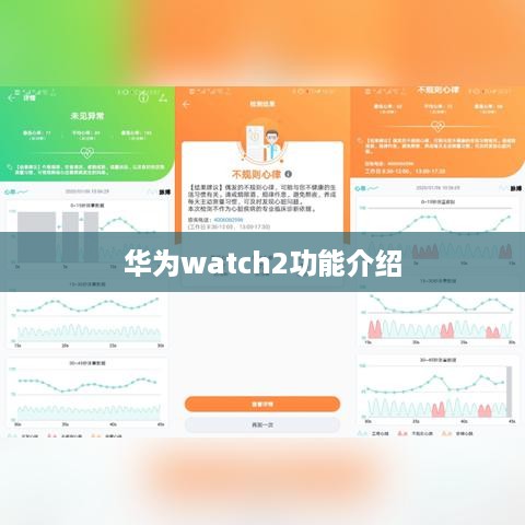 华为watch2功能介绍