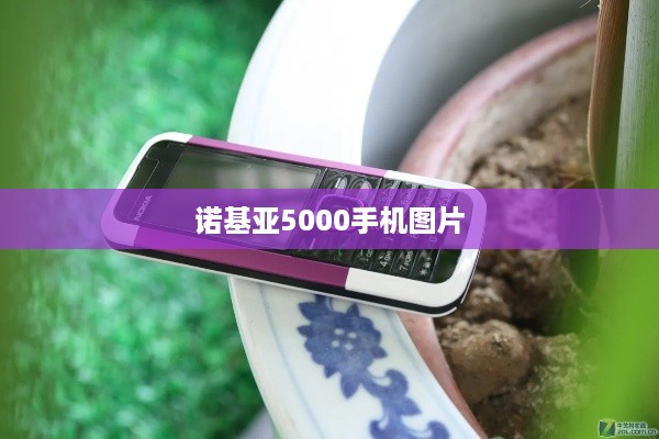诺基亚5000手机图片