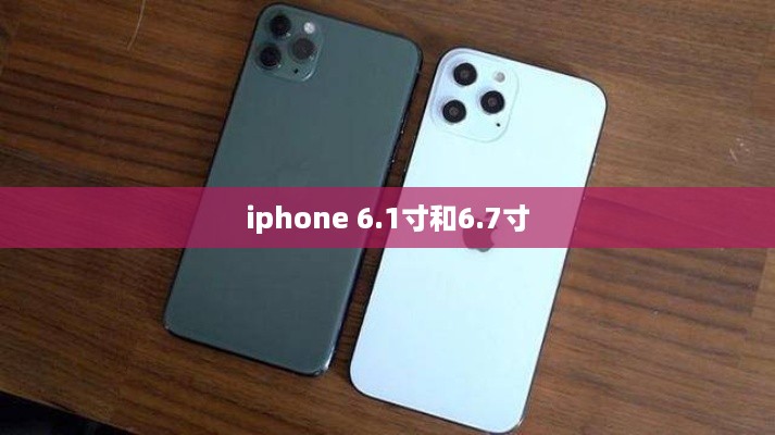 iphone 6.1寸和6.7寸
