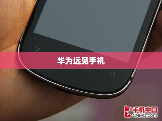 华为远见手机