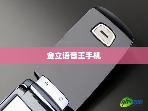 金立语音王手机