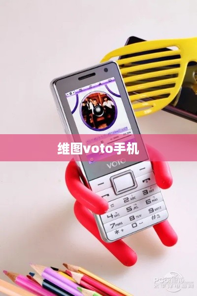 维图voto手机