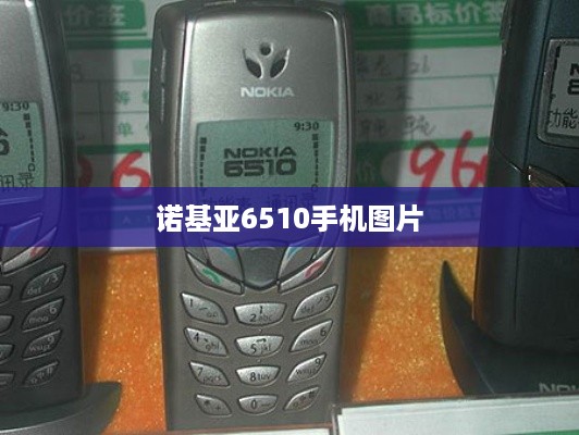 诺基亚6510手机图片