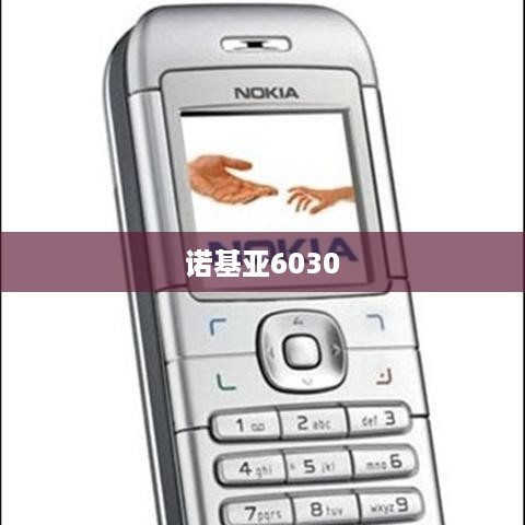 诺基亚6030  第1张