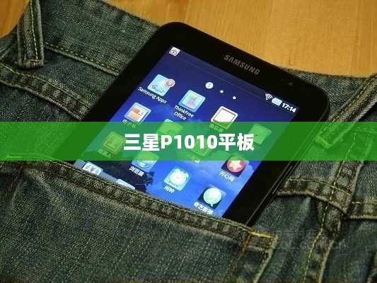 三星P1010平板
