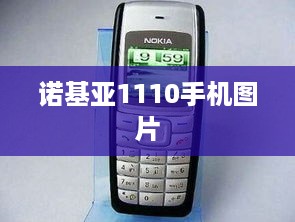 诺基亚1110手机图片
