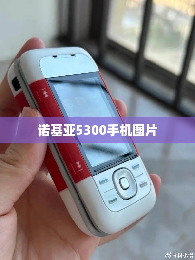 诺基亚5300手机图片