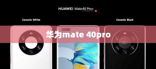 华为mate 40pro