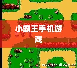 小霸王手机游戏