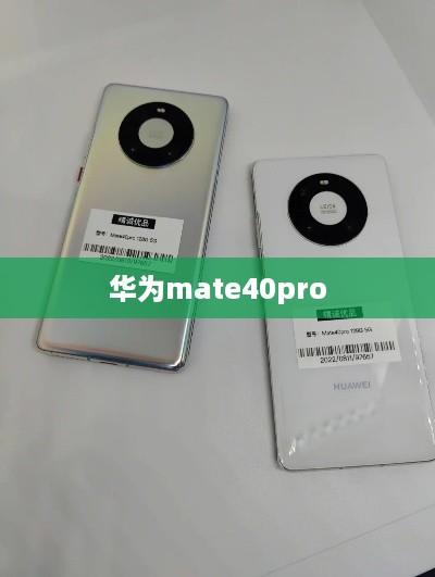 华为mate40pro