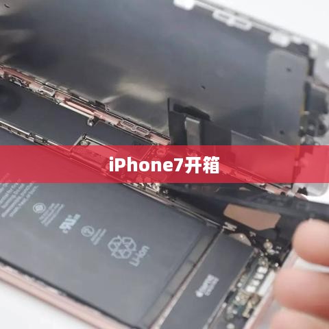 iPhone7开箱