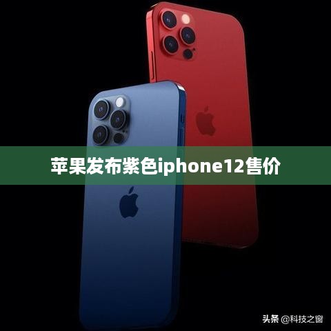 苹果发布紫色iphone12售价