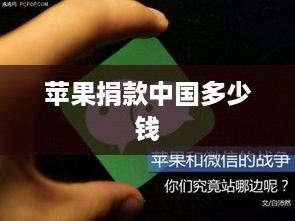 苹果捐款中国多少钱