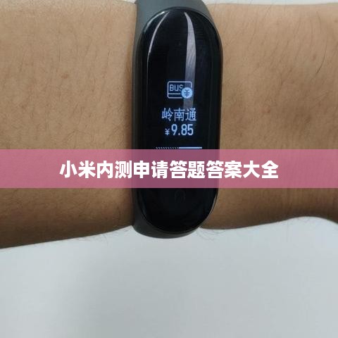 小米内测申请答题答案大全