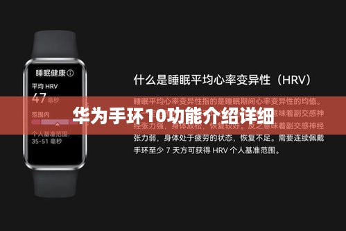 华为手环10功能介绍详细