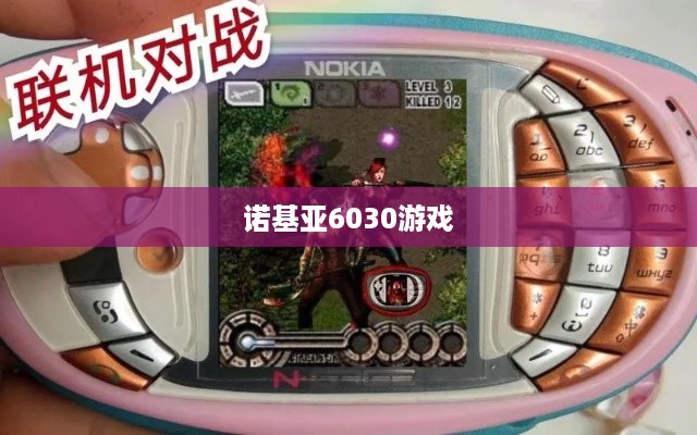 诺基亚6030游戏