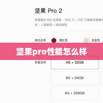 坚果pro性能怎么样