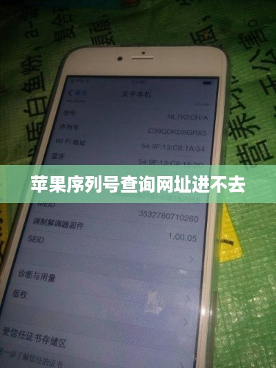 苹果序列号查询网址进不去