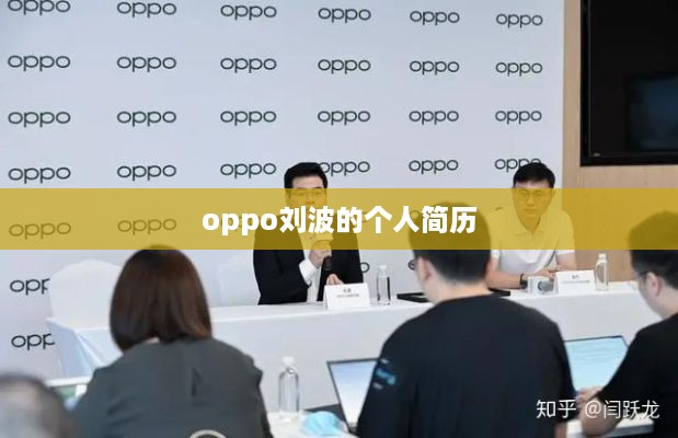 oppo刘波的个人简历