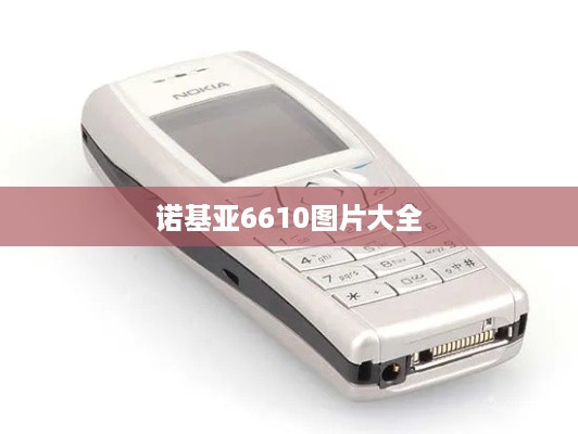 诺基亚6610图片大全
