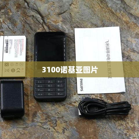 3100诺基亚图片
