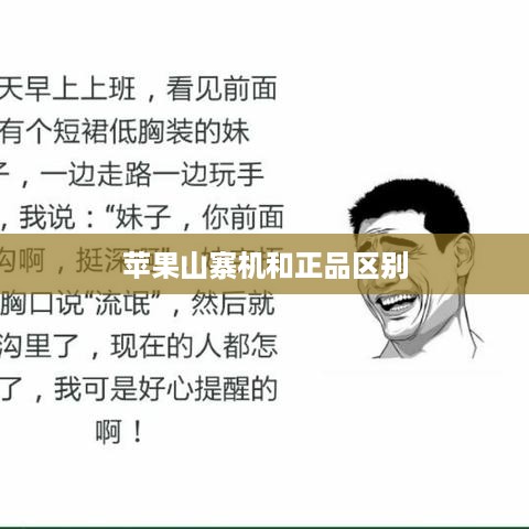 苹果山寨机和正品区别  第1张