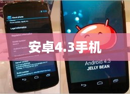 安卓4.3手机