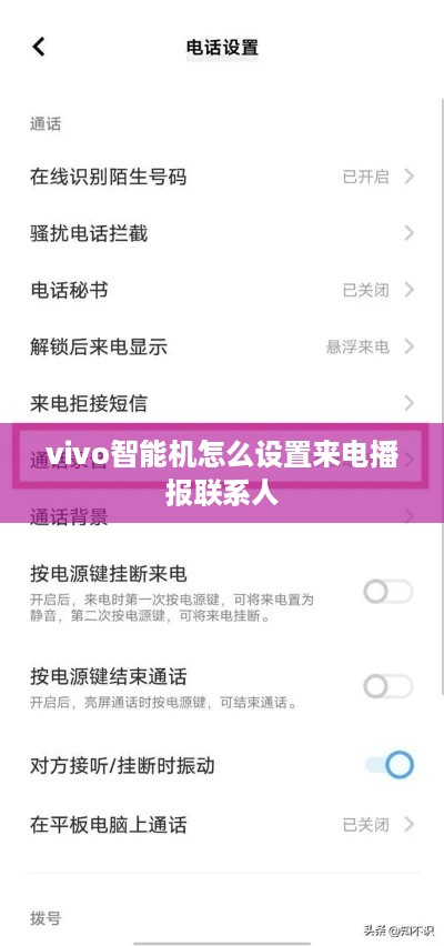 vivo智能机怎么设置来电播报联系人