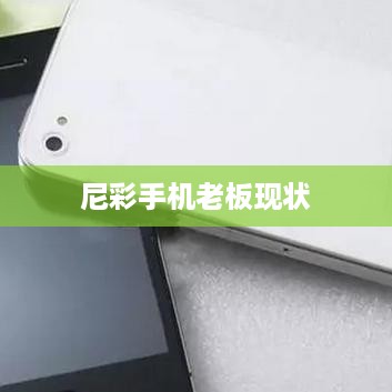 尼彩手机老板现状