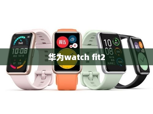 华为watch fit2