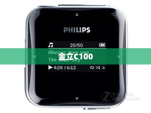 金立C100