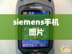 siemens手机图片