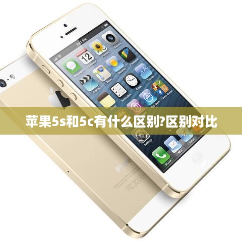 苹果5s和5c有什么区别?区别对比