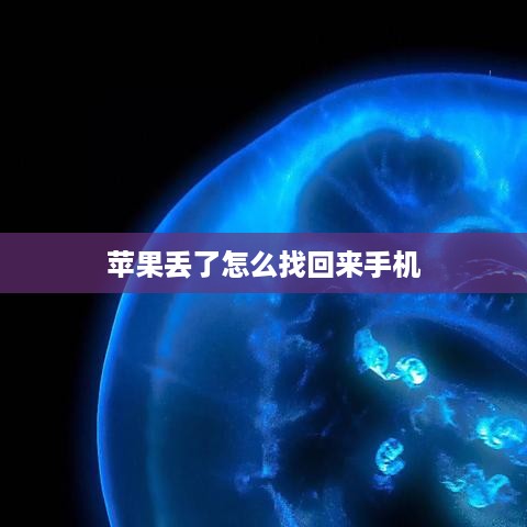 苹果丢了怎么找回来手机