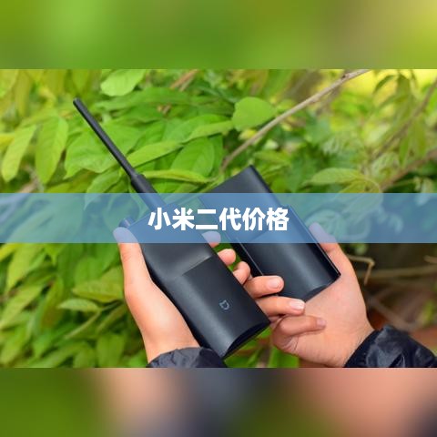 小米二代价格