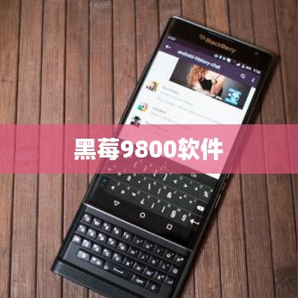 黑莓9800软件