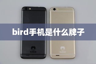 bird手机是什么牌子