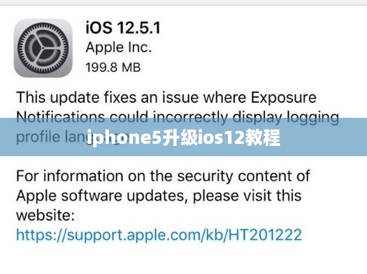 iphone5升级ios12教程