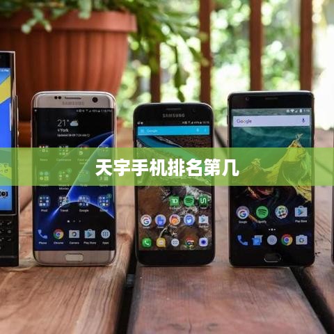 天宇手机排名第几