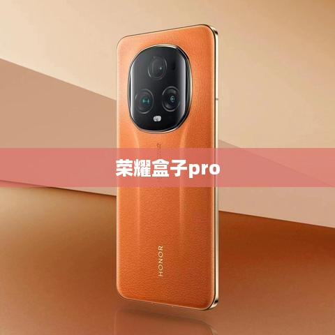 荣耀盒子pro