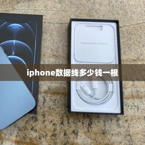 iphone数据线多少钱一根