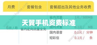 天翼手机资费标准