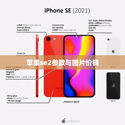 苹果se2参数与图片价钱