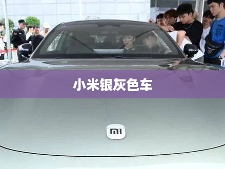 小米银灰色车